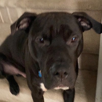 Profile Picture of Matthew Mahony (@MatthewMahony2) on Twitter