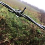 Profile Picture of james gibbins (@james.gibbins.1) on Instagram