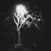 Profile Picture of Greg Burtcher (@greg.burtcher) on Facebook
