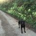 Profile Picture of Geoffrey Neame (@geoffrey.neame.39) on Facebook