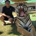 Profile Picture of Jimmy Moua (@dking_joker) on Pinterest