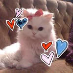 Profile Picture of Chie Robledo (@chie.robledo.2024) on Facebook