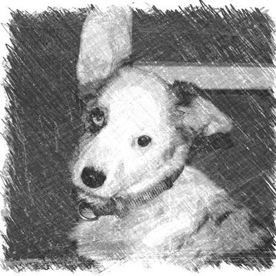 Profile Picture of Connie Winters (@@Connie_Winters) on Twitter