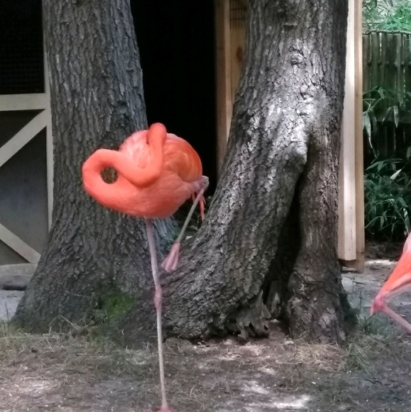 Eli Fisher - Poshmark Profile Picture of Eli Fisher (@elifisher877) on Poshmark