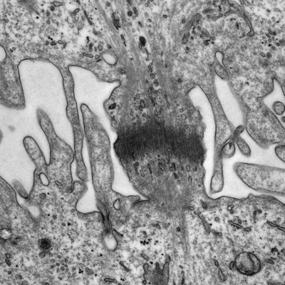 Profile Picture of James Edgar (@Edgar_lab_UK) on Twitter