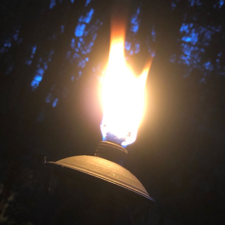 Profile Picture of Cal Marshall (@cal.marshall) on Tiktok