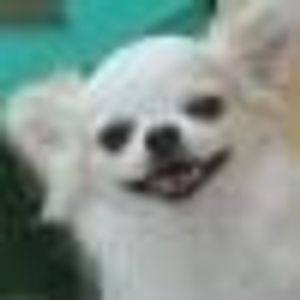 Profile Picture of Linda Lacey (@251947207) on Myspace