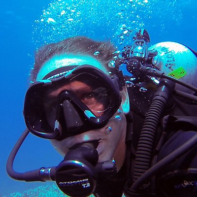 Profile Picture of Chris Haswell (@Deinonych67) on Twitter