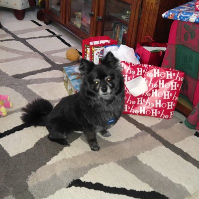 Profile Picture of Anthony Bertolini (@bertolini67) on Twitter