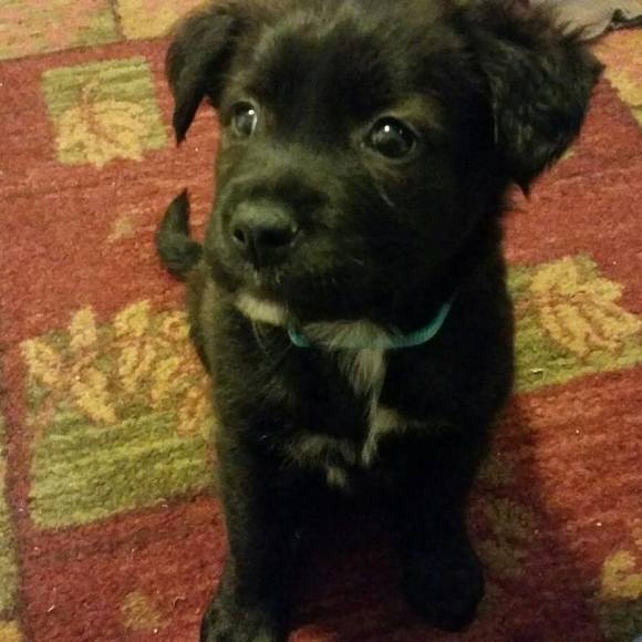 Profile Picture of Tinny Gensmer (@byfar2cute23) on Poshmark