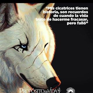 Profile Picture of Alexander Parga (@Alexander-Parga) on Facebook