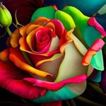 Profile Picture of Nancy George Manthey (@nancymanthey) on Instagram