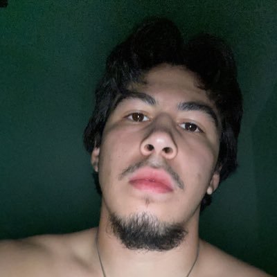Profile Picture of David 🐺 (@D3cordero) on Twitter