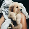 Profile Picture of reneecheeke is a queen 👑 (@reneecheeke..fp) on Tiktok