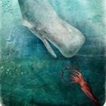 Profile Picture of Joseph Elbaz (@le_roi_babaz) on Instagram