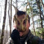 Profile Picture of Bradley (@primordial_north_woods) on Instagram