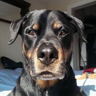 Profile Picture of Jon Walmer (@jonathan.walmer) on Facebook