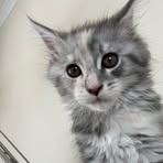 Profile Picture of Logan Stubbs (@Logan-Stubbs) on Facebook