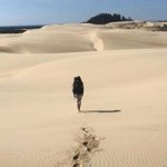 Profile Picture of Nicholas Wade (@niccasaurusrex) on Instagram