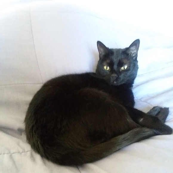 Profile Picture of Lois Scott (@orewalt314) on Poshmark