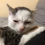 Rick Richard Collazo - Facebook Profile Picture of Rick Richard Collazo (@rick.richard.collazo) on Facebook