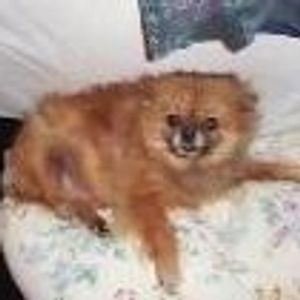 Profile Picture of Nancy Blood (@159750169) on Myspace