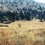 Profile Picture of Jean Velasquez (@jean.e_velasquez) on Instagram