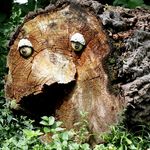 Profile Picture of Joshua J. Votta (@woodsyshroom) on Instagram
