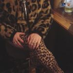 Profile Picture of Casey Melvin (@therealpriscillarich) on Instagram