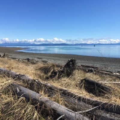 Profile Picture of Peter Stocks (@PeterStocks12) on Twitter