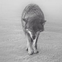 Profile Picture of Brett Wight (@brett-wight-2) on Quora