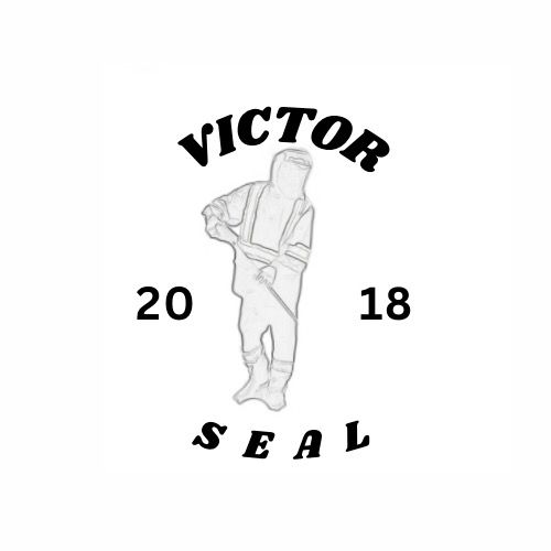 Profile Picture of Victor Seal (@victor.seal) on Tiktok