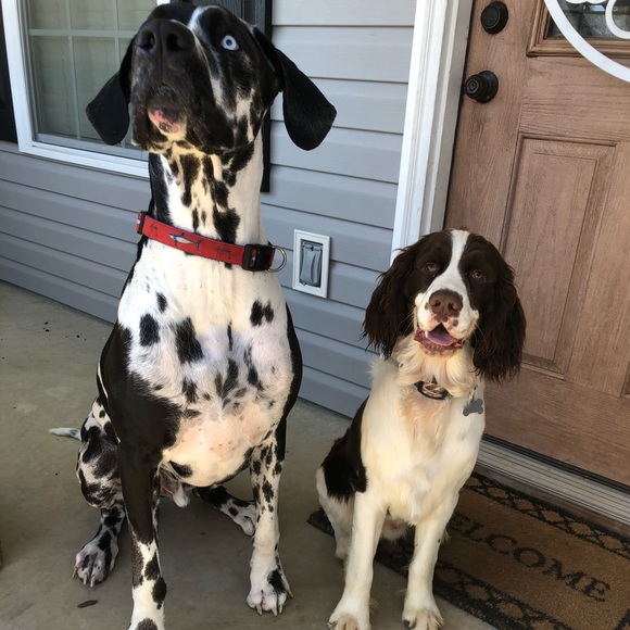 Profile Picture of Morgan Brazzell (@jamp22) on Poshmark