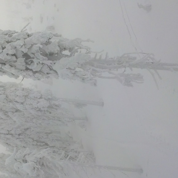 Profile Picture of Agata Majchrzak (@couturebya) on Poshmark