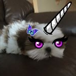 Profile Picture of Reese Roberta Houston (@reeseo08) on Instagram