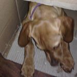 Profile Picture of nealschonsjrny (@nealschonsjrny) on Instagram