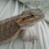 Profile Picture of adriannakeating5 (@@adriannakeating5) on Tiktok