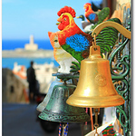 Profile Picture of Nicola Santoro (vieste Paese Mio) (@nicola santoro (vieste paese mio)) on Flickr