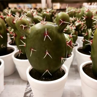 Profile Picture of Wenjing Zeng (@zeng.wenjing) on Instagram