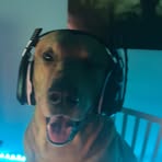 Profile Picture of James Walek (@James-Walek) on Facebook