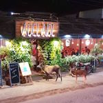 Profile Picture of Justin Rutherford (@justin.rutherford.790) on Instagram