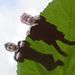 Profile Picture of Benjamin Borck (@baborck) on Pinterest