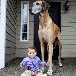 Profile Picture of carlos andres salcedo (@carlosalcedo20) on Instagram