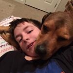 Profile Picture of Maxwell Phillips (@wolfbane213) on Instagram