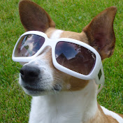 Profile Picture of Scott Giles (@scottgiles699) on Youtube