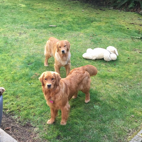 Profile Picture of Ruth Smethers (@ruthsmethers) on Poshmark