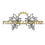 Profile Picture of PulsinelliVideo (@PulsinelliVideo) on Youtube