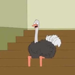 Profile Picture of Kevin Burden (@KevinBurden9) on Twitter