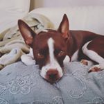 Profile Picture of andrewpalko (@andr3ww_palk0) on Instagram