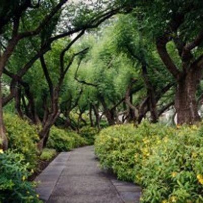 Profile Picture of David Hargrove (@QBalde) on Twitter